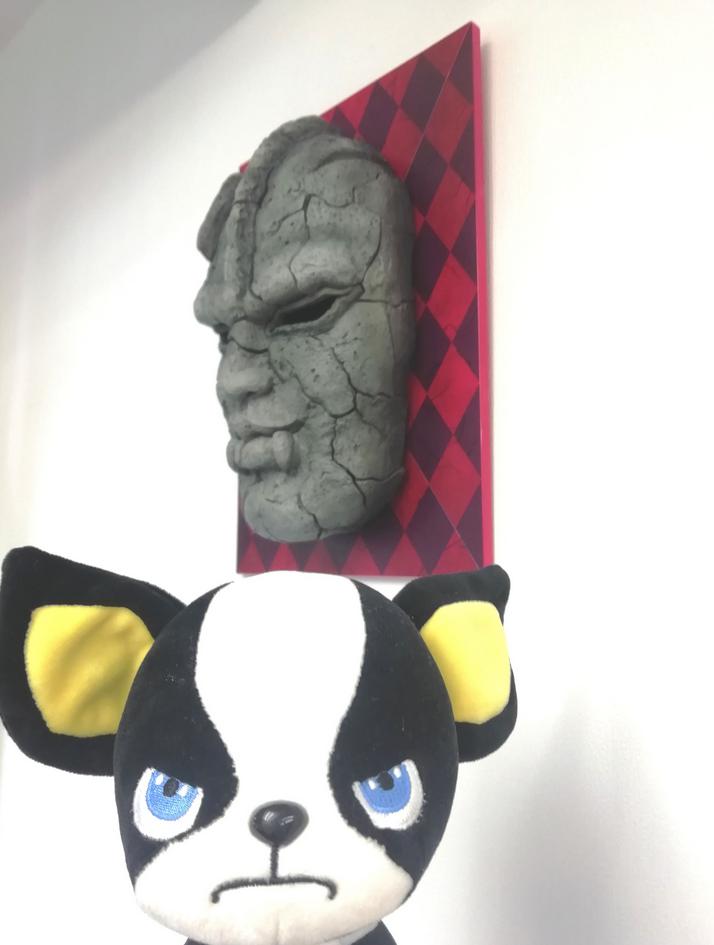 JoJo's Bizarre Adventure IGGY Plush (Rare / Discontinued)3