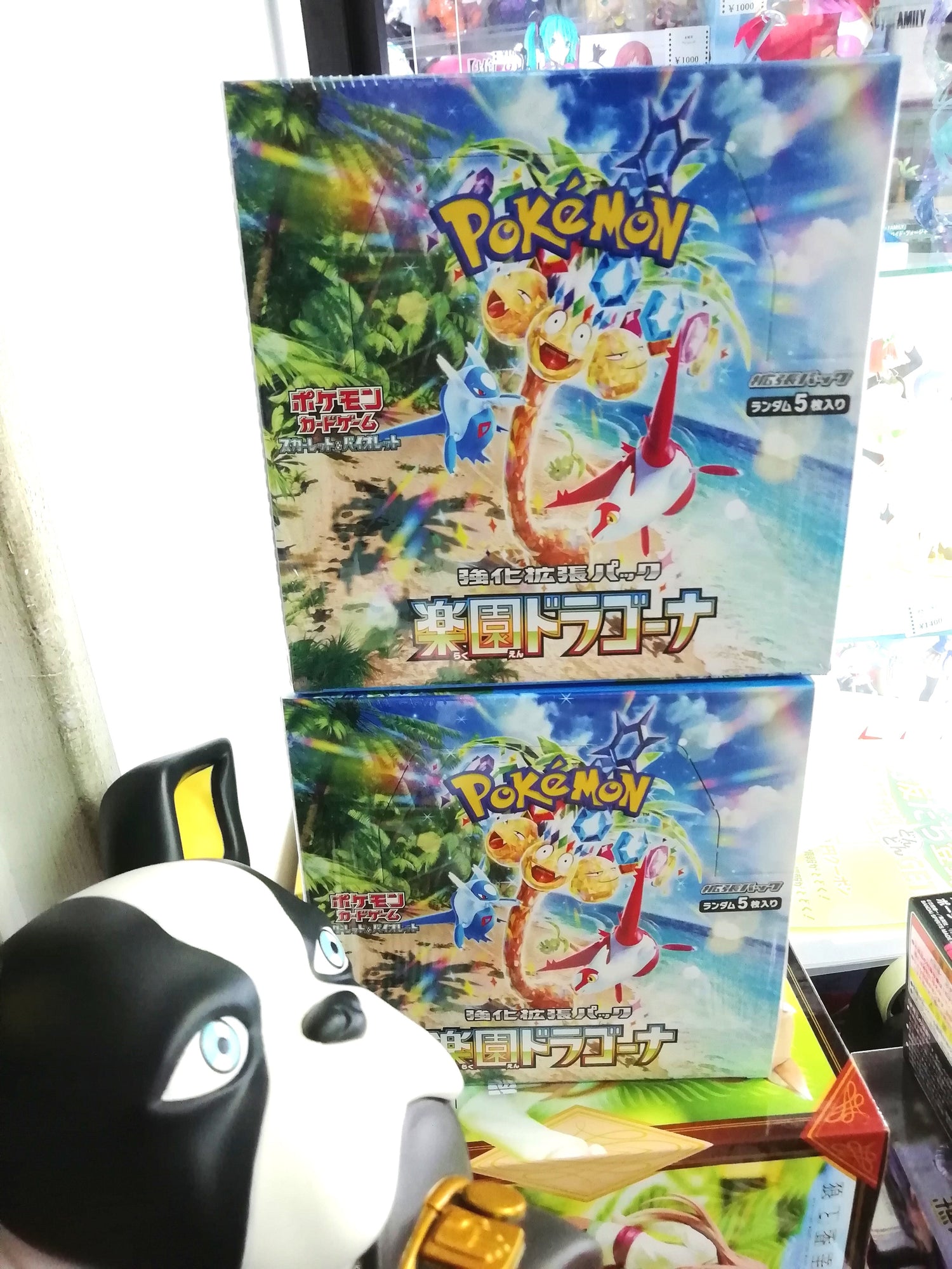 TRADING CARD / トレーディングカード