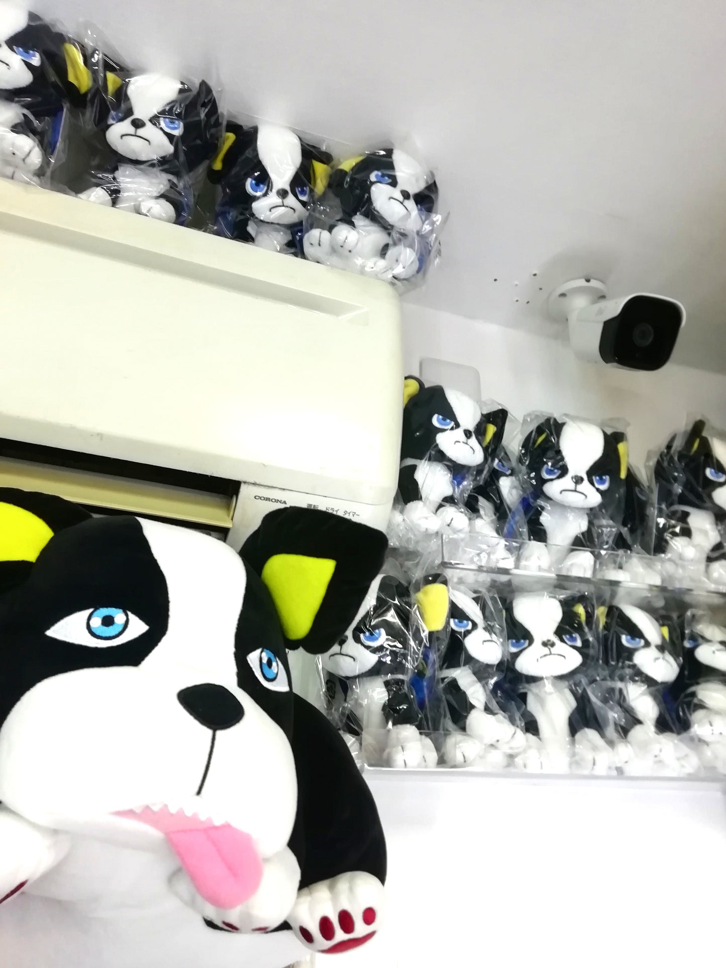 JoJo's Bizarre Adventure IGGY Plush (Rare / Discontinued)